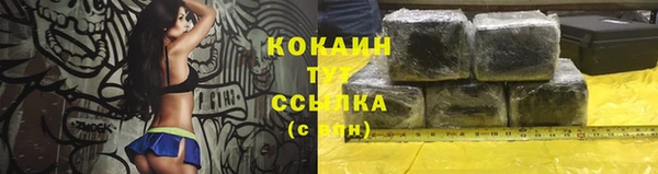 мяу мяу мука Алзамай