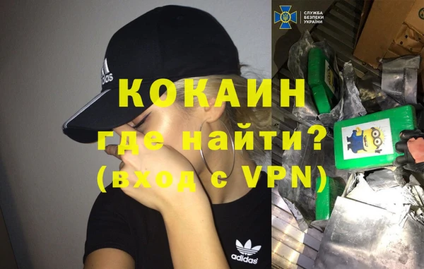 индика Алексеевка