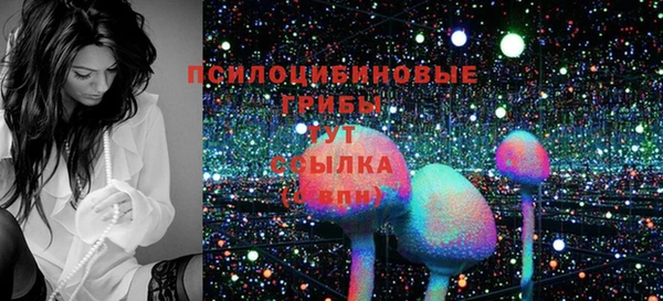 индика Алексеевка