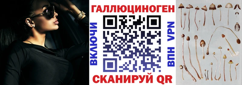 купить закладку  Невинномысск  Псилоцибиновые грибы Psilocybine cubensis 